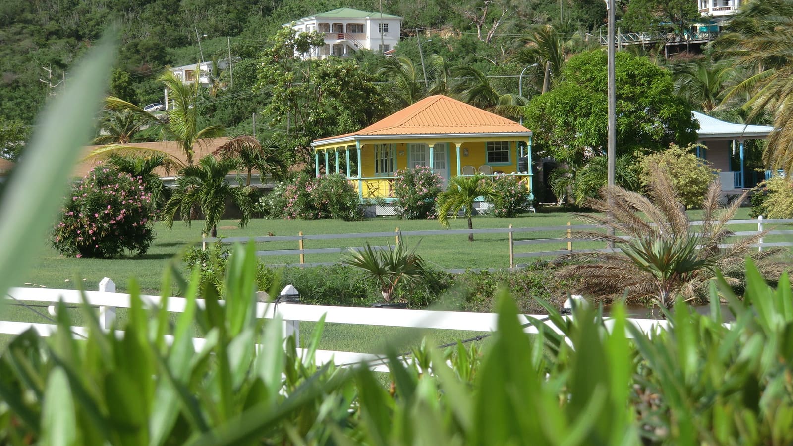 A yellow house among palms in an Antigua village